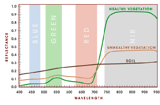 nir-vegetation-graph.gif nir-vegetation-graph.gif